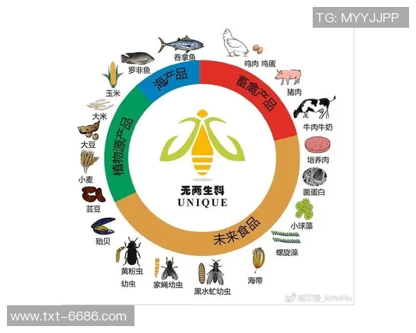 马内在足球世界的崛起与影响力分析及其未来发展潜力探讨